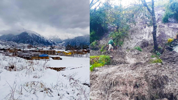 हुम्लामा भारी हिमपात हुँदा दुई दिनदेखि सम्पर्कविहीन नाम्खा गाउँपालिकाका चार गाउँ  